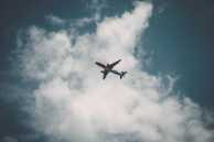 airplane 3 desaturated para En los Bosques