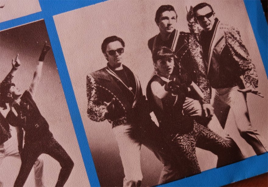 Rocky 7 en los bosques